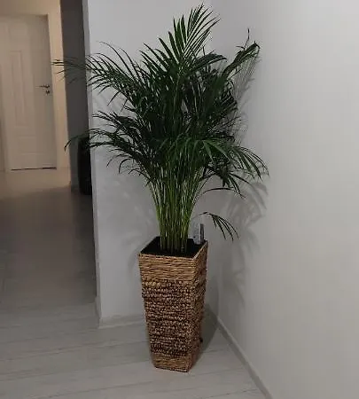 Luca Boutique Апартаменты